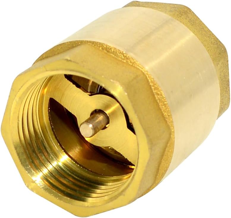 DAN SPEED Brass Check Valve,Female Thread Spring Check Valve,One Way Horizontal Check Valves for Backflow Prevention,Well, Pump, Tank ((DN25) 1'') - Image 2
